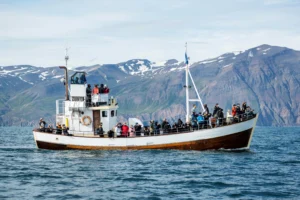 Connecting with Family and Community Through Veneajelu