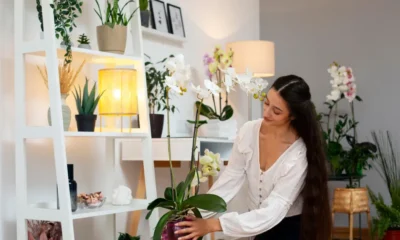 Pyntekvister Transform Your Home with Decorative Branches